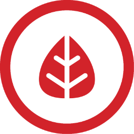 Energy Efficient Icon